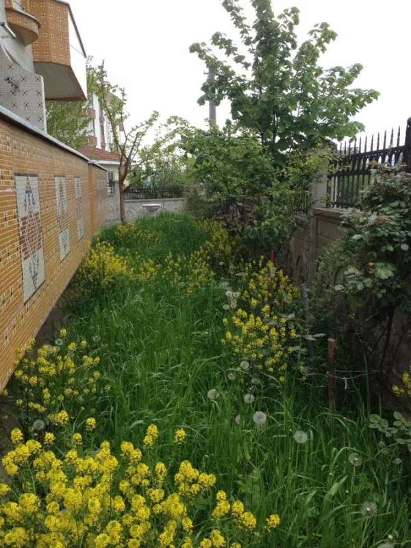 Yakamoz Pansiyon Bahçe