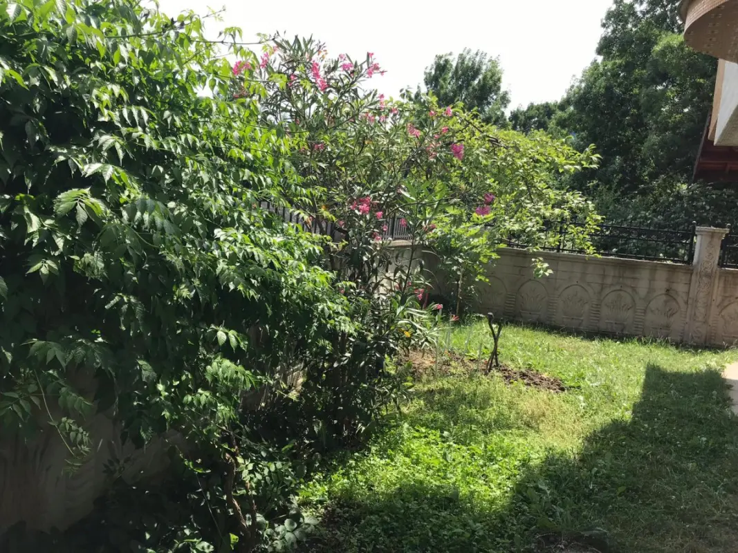 Yakamoz Pansiyon Bahçe