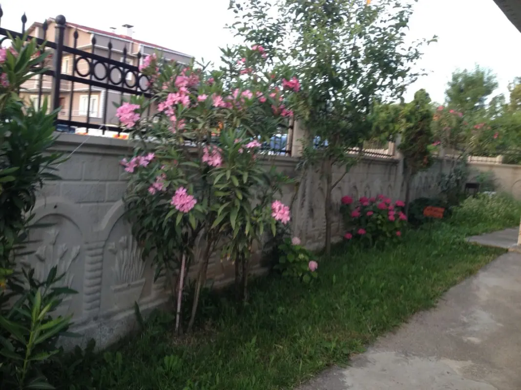 Yakamoz Pansiyon Bahçe